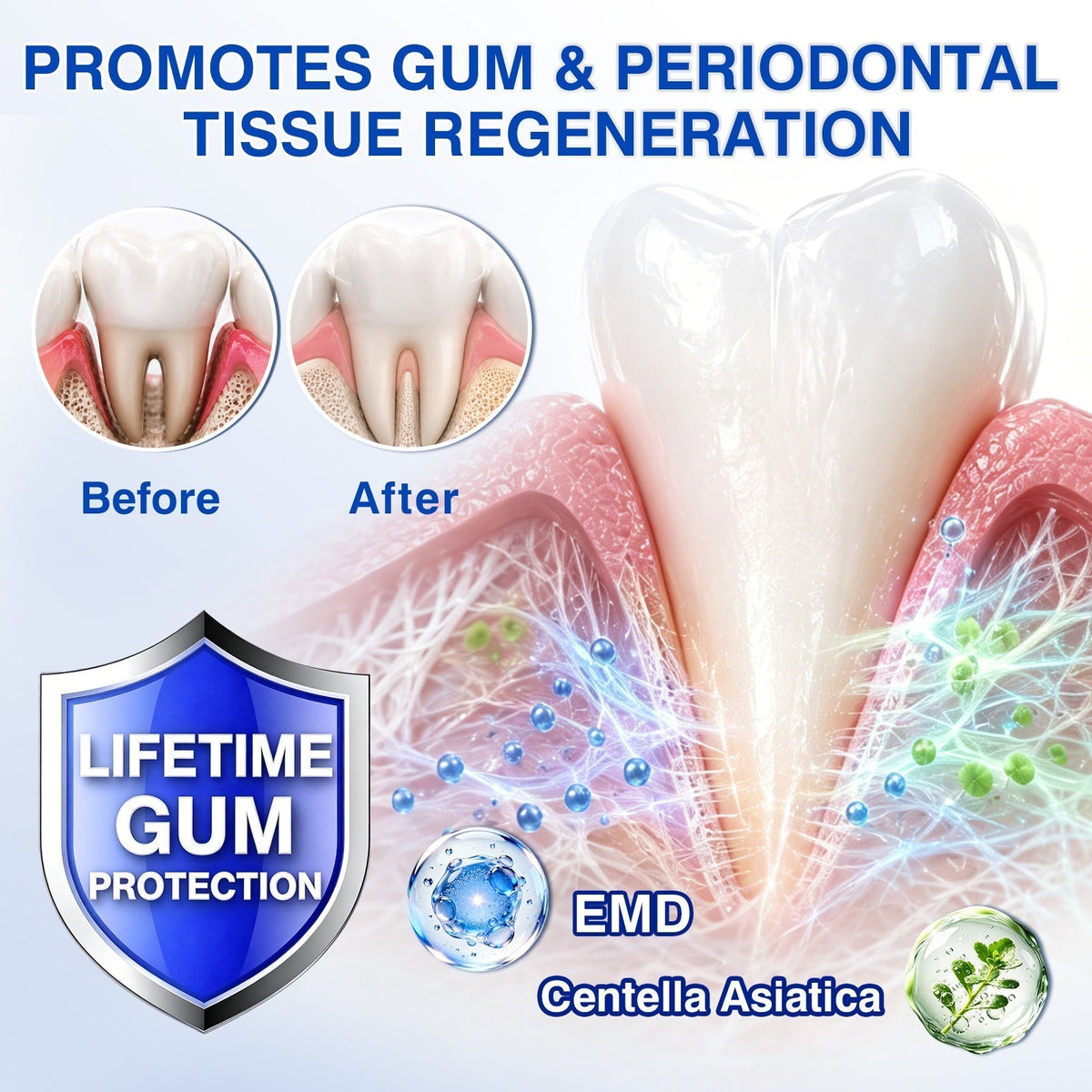 🦷 Evolvion® GumVital Advanced Gum Care Gel + 🎁 FREE Gum Care Kit